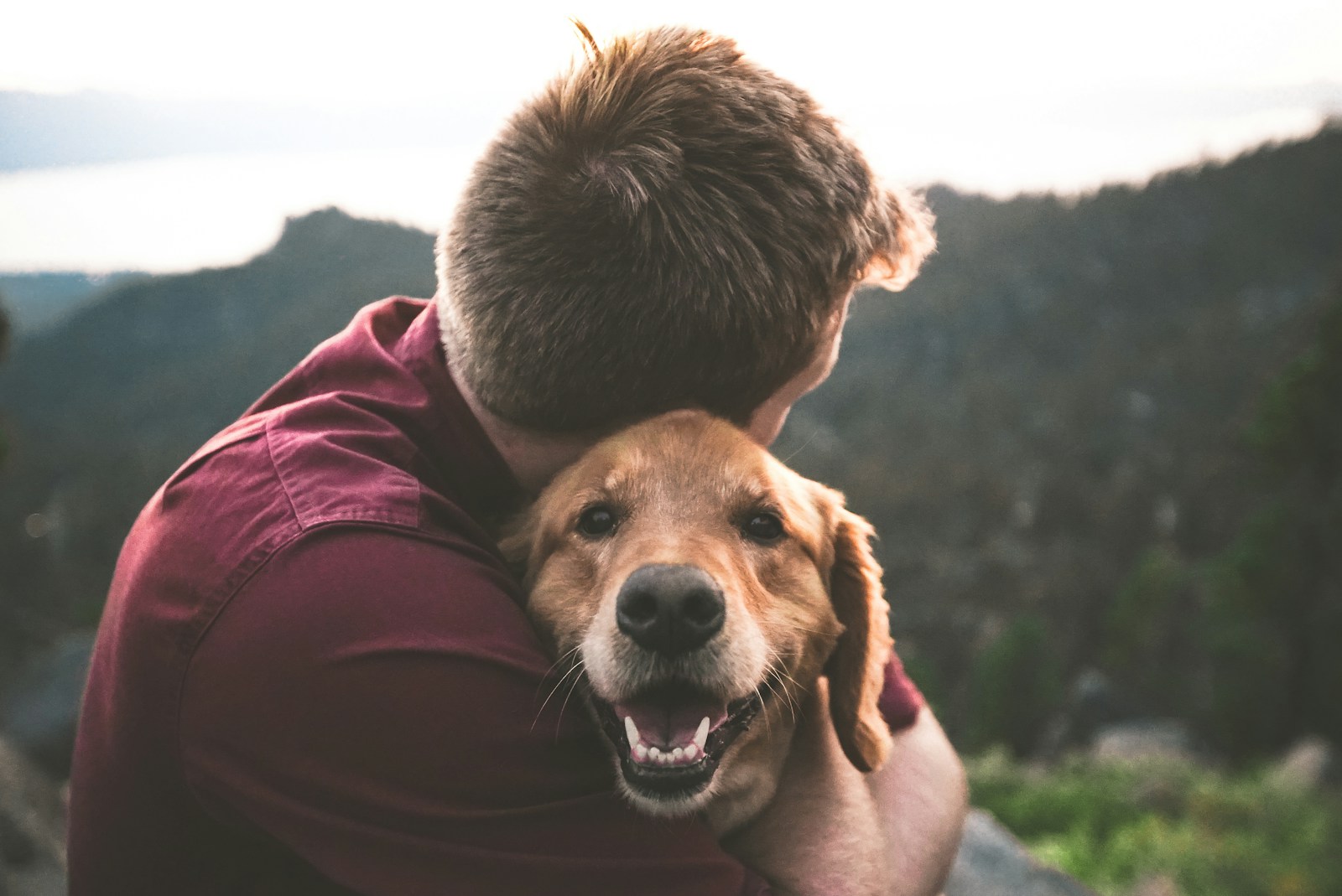 Jeune assis dans l'herbe avec un chien
